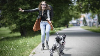 chien tire sur sa laisse